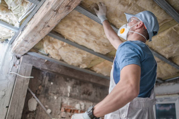 Best Cellulose Insulation  in Lindsay, CA