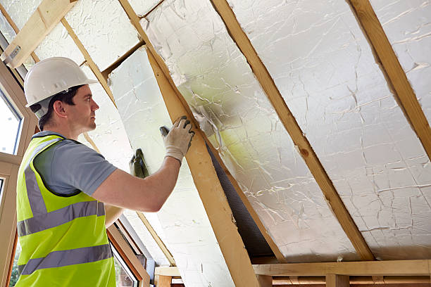 Best Insulation Inspection Services  in Lindsay, CA